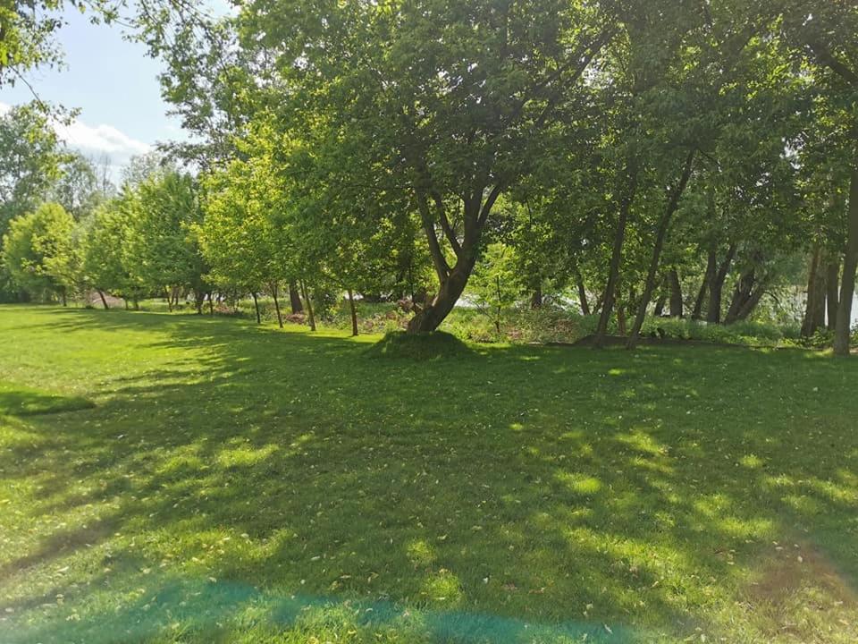 Pensiunea Lunca Arad Buitenkant foto