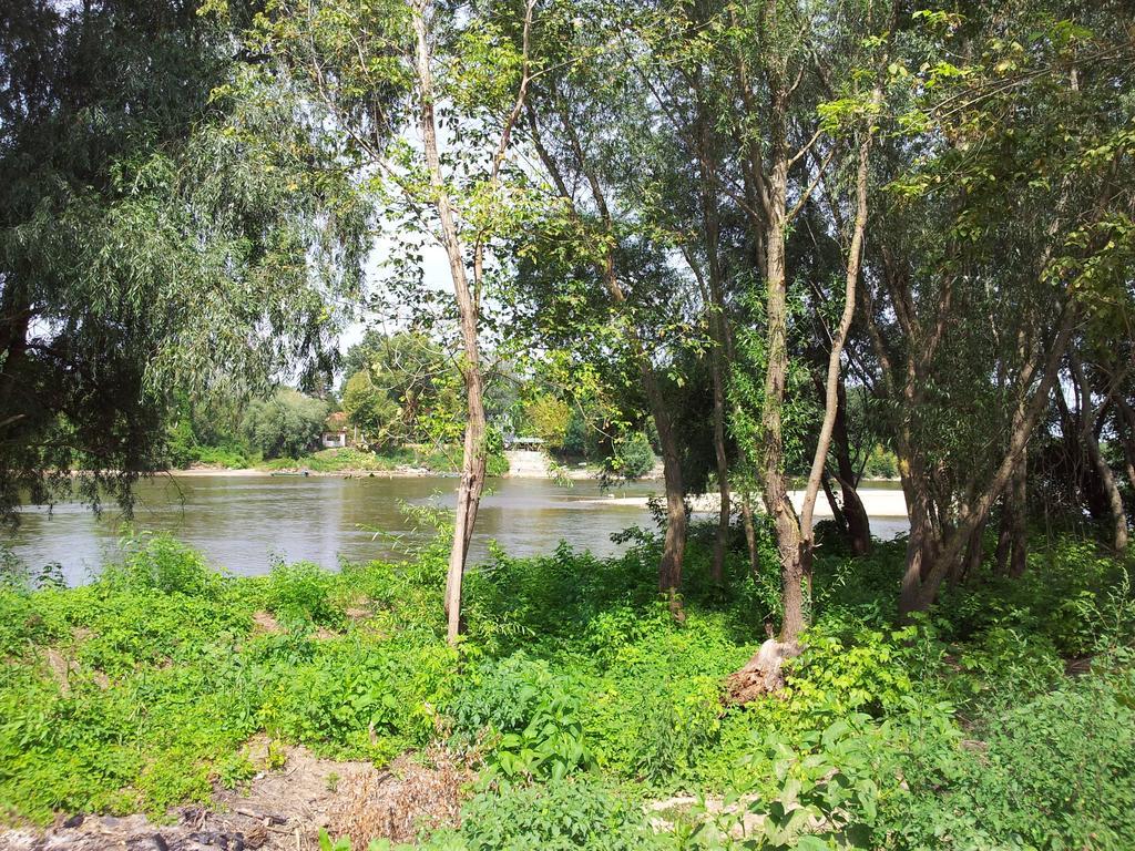 Pensiunea Lunca Arad Buitenkant foto